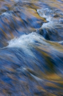 Autumn;Blue;Brook;Creek;Fall;Gold;Reflection;Reflections;Rivulet;Stream;Streamle